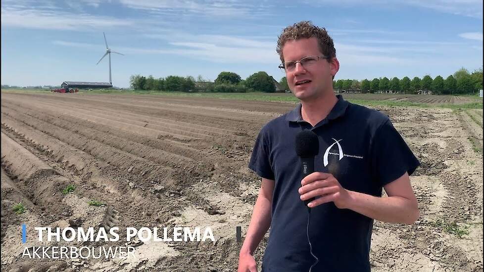 Klimaatadaptatie in de pootaardappelteelt