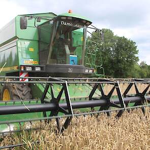 Onder een donker wolkendek oogst loonwerker Damoiseaux voor Piet Brands de wintertarwe. Deze levert 10 ton per hectare op.