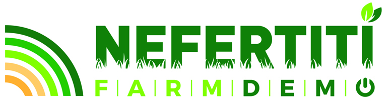 Nefertiti logo