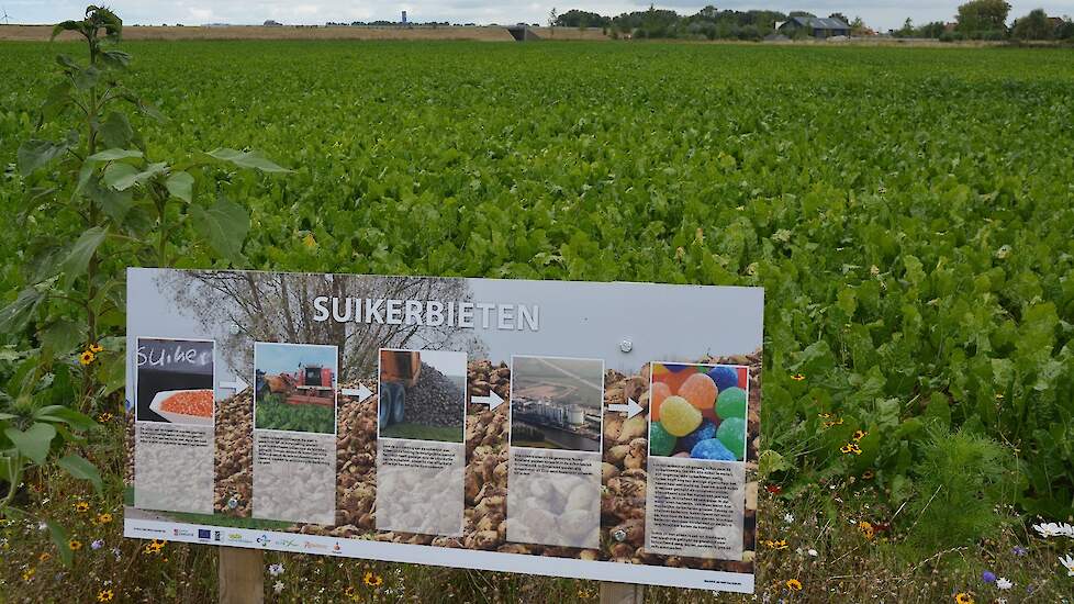 De akkerbouwers van Nieuw Campen zien toerisme als een kans om burgers meer bij het boerenbedrijf te betrekken. Ze hebben hiervoor samen met Stichting Akkerleven speciale borden laten maken, waarop per gewas iets wordt verteld over de teelt, de verwerking