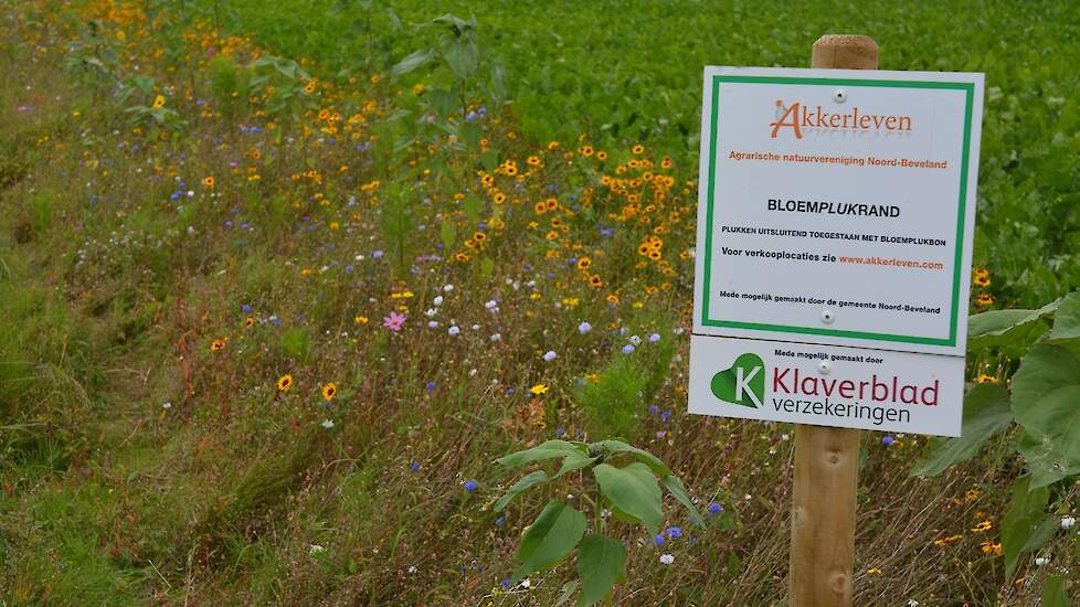 Een groot deel van de percelen is voorzien van bloemrijke akkerranden. Op een bordje op de dam staat dat belangstellenden tegen betaling bloemen mogen plukken. De ondernemers geven speciale plukbonnen die bijvoorbeeld als verjaardagscadeau gegeven kunnen