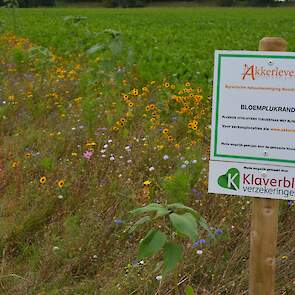 Een groot deel van de percelen is voorzien van bloemrijke akkerranden. Op een bordje op de dam staat dat belangstellenden tegen betaling bloemen mogen plukken. De ondernemers geven speciale plukbonnen die bijvoorbeeld als verjaardagscadeau gegeven kunnen