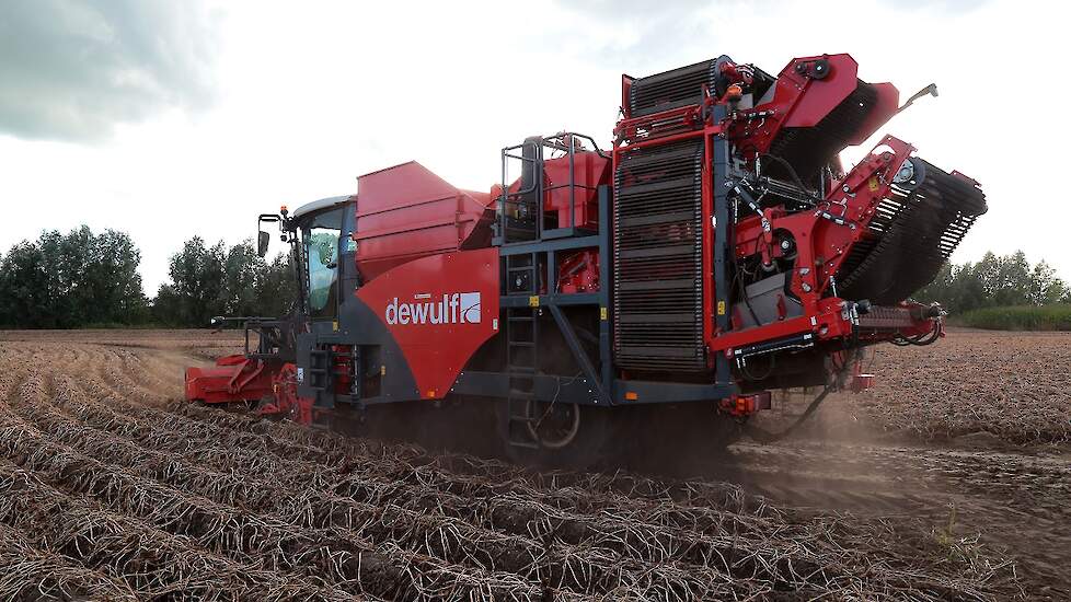 De helft van het areaal aardappelen van Hulshoff is inmiddels gerooid, voornamelijk pootgoed. Van de consumptie- en zetmeelaardappelen moet nog een flink areaal worden geoogst.