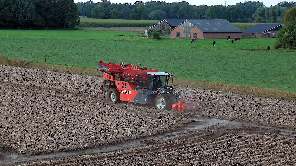 De aardappelen worden gerooid met een tweerijige Dewulf 3060. Hulfshoff heeft twee van deze rooiers rijden.