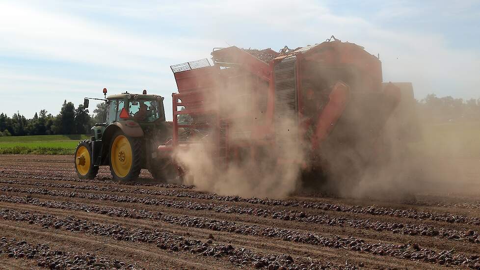 Vermue verwacht af te stevenen op een gemiddelde oogst. „Ik denk 65 procent grof en een netto opbrengst van 45 ton per hectare.”