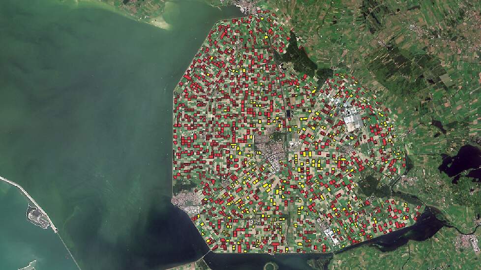 Een satellietfoto van de Noordoostpolder met in het rood percelen met pootaardappelen, de gele vlakken staan voor andere gewassen.