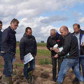 Sjors Leermakers (rechts op voorgrond) laat een aardappelstengel zien waarin zwarte spikkel zichtbaar is. De spikkels bevinden zich onder het schilletje van de stengeldelen die net onder grond zitten. Onder dit schilletjes is wit schimmelpluis te zien met