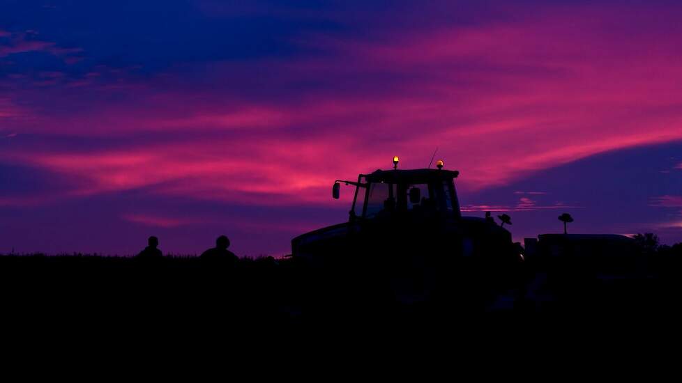 Onder het avondrood zaaide akkerbouwer Hendrik Kerkhofs wintertarwe van het ras Chevignon.
