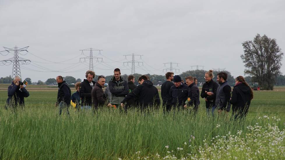 Groep rondleiding Groenbemestersdag Westmaas