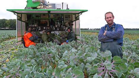 De spruitenteelt vereist een goede planning. „We moeten een gepland oogstoppervlak per week halen, anders raken we achter in kwaliteit”, zegt Kasper Kleijwegt.