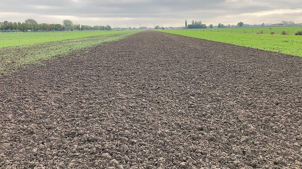 Ploegen en rotorkopeg, geen gele mosterd groenbemester