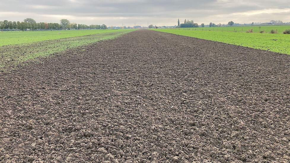 Ploegen en rotorkopeg, geen gele mosterd groenbemester