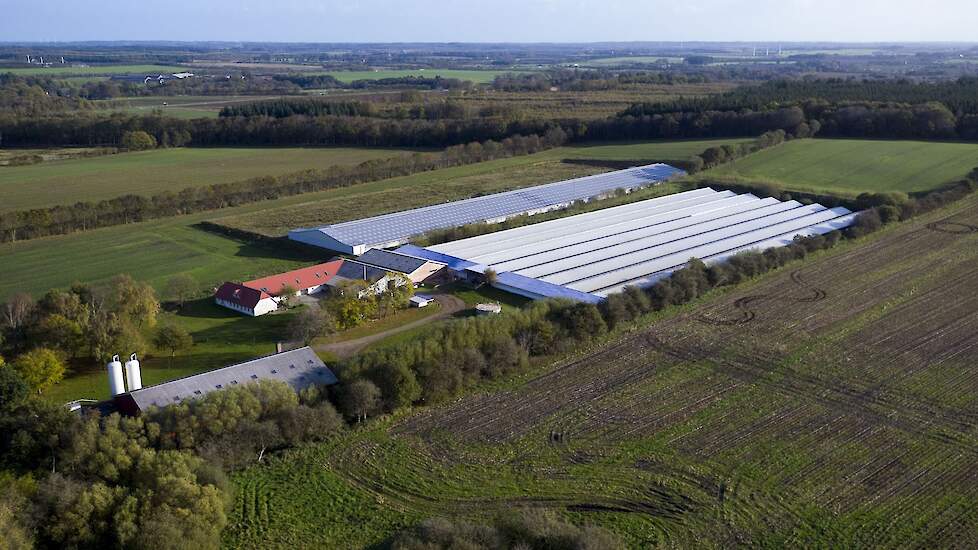 Wat doet het einde van de nertsenhouderij in Denemarken met de grondprijs?