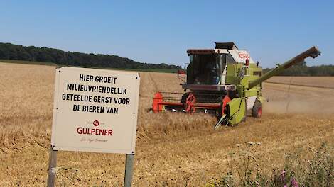 Er is een groot tekort aan brouwgerst. Dit zorgt voor ongekend hoge prijzen van ruim 400 euro per ton.