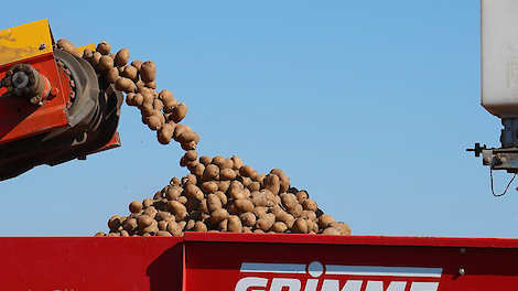 Bert Timmermans (VTA) vraagt zich af of de huidige intensiteit van de aardappelteelt nog wel vol te houden is. „Niet alleen gezien de discussie over gewasbescherming, maar ook met het oog op de ontwikkelingen rond nitraat op de zandgronden.”