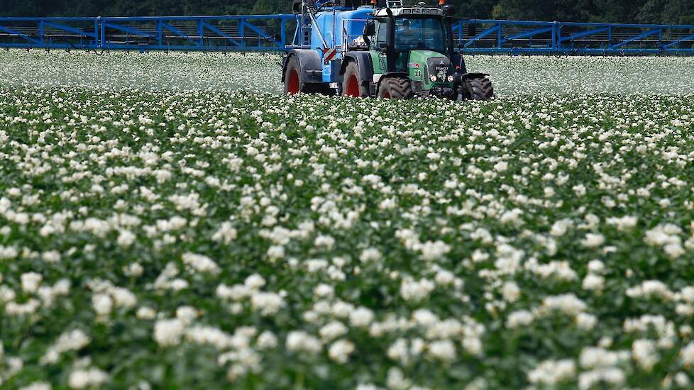 Tijdens een phytophthorabespuiting kun je sporenelementen als bladmeststof toevoegen. Via de bodem geven heeft de voorkeur, zegt Albert Wolfs van het HLB.
