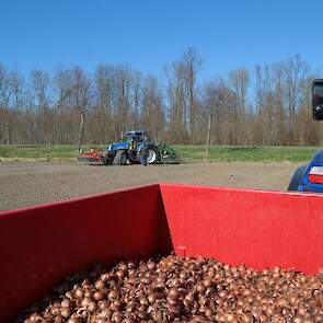 De omstandigheden waren perfect. Lekker zonnetje, niet te droog. Prima weer om de 9,5 hectare bij Lodders te planten.