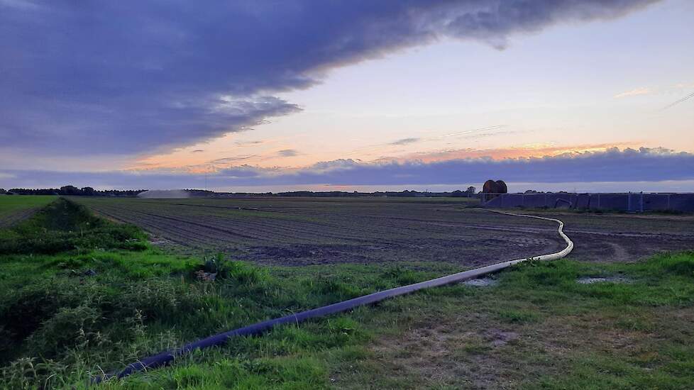 10 mei: Siebring heeft AZ500 gespoten en 200 kg KAS gestrooid. Daarna heeft hij het gewas beregend, ongeveer 15 mm.