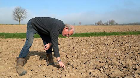 Op een deel van de rivierklei van Jos Lamers is de bovenste kleilaag ‘afgetiggeld’. De klei is gebruikt voor baksteenproductie. De grond kenmerkt zich door een kleilaag in de bovengrond met vaak grofzand daaronder. Bekalken hoeft nooit, dankzij de van nat
