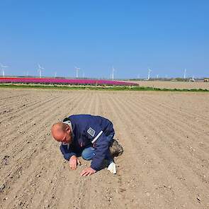 28 april: Remy Metselaar controleert de zaaidiepte.