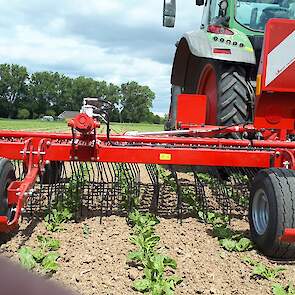 Van Horsch ook een wiedeg, uitgevoerd met een dubbele veer per tand. De werkingsagressiviteit is daardoor hetzelfde, ongeacht de stand van de tand. In vlak bietenland, maar ook op en tussen aardappelruggen. Wiedeggen is een kwestie van blijven rijden, ook