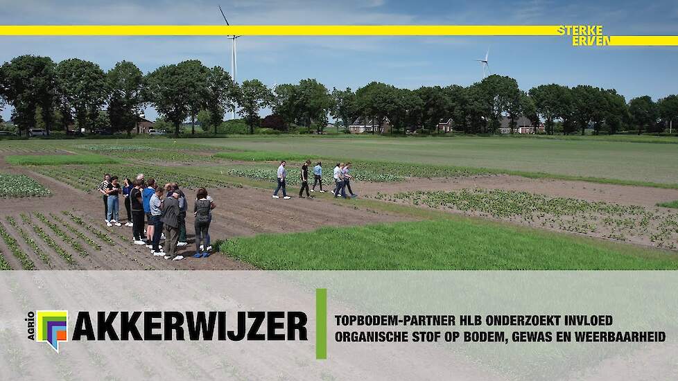 TopBodem partner HLB onderzoekt invloed organische stof op bodem, gewas en weerbaarheid