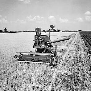 1947: Model 55