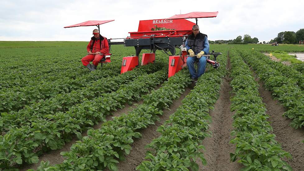 Selecteren is belangrijk werk, vindt Flipsen. „Hier staat of valt alles mee. Wanneer er niet goed geselecteerd is, kan een partij zo maar onderuit gaan tijdens de keuring.”