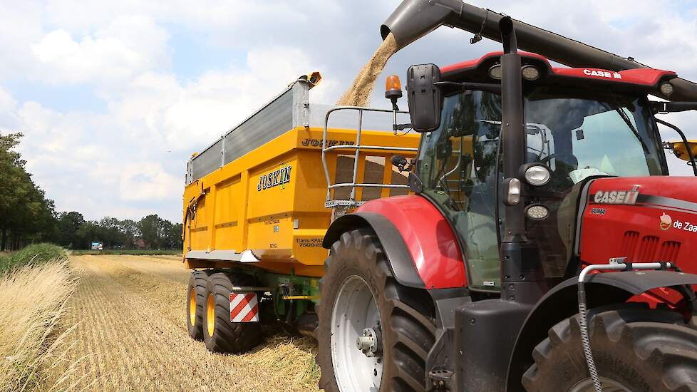 Naast wintergerst worden er op het bedrijf ook aardappelen, bieten, mais, spinazie en bonen geteeld.