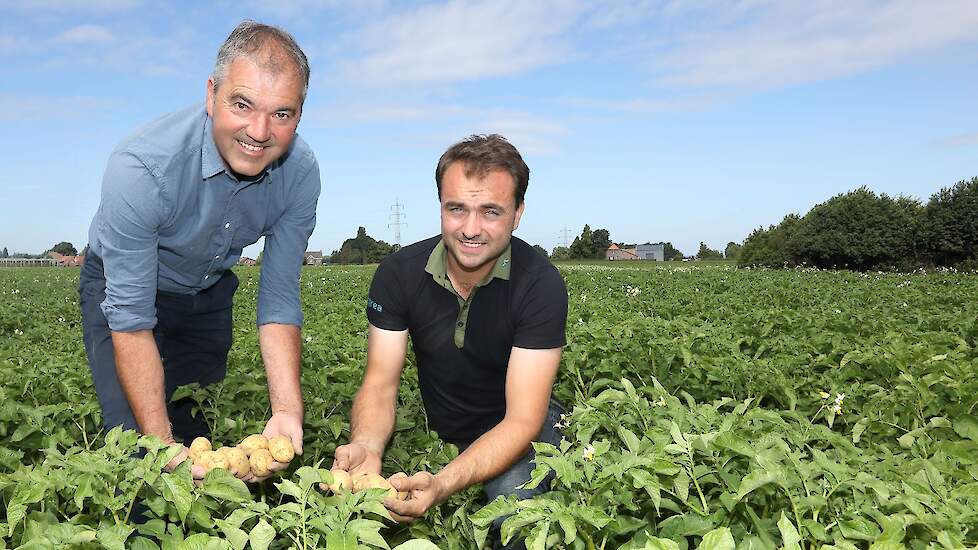 Certis Belchim › Teler Wil Janssen zweert bij kiemregulator: ‘Mijn belangrijkste bespuiting in de te