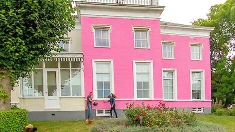Noodkreet uit het Oldambt: Ten Have schildert monumentale boerderij roze - Akkerwijzer