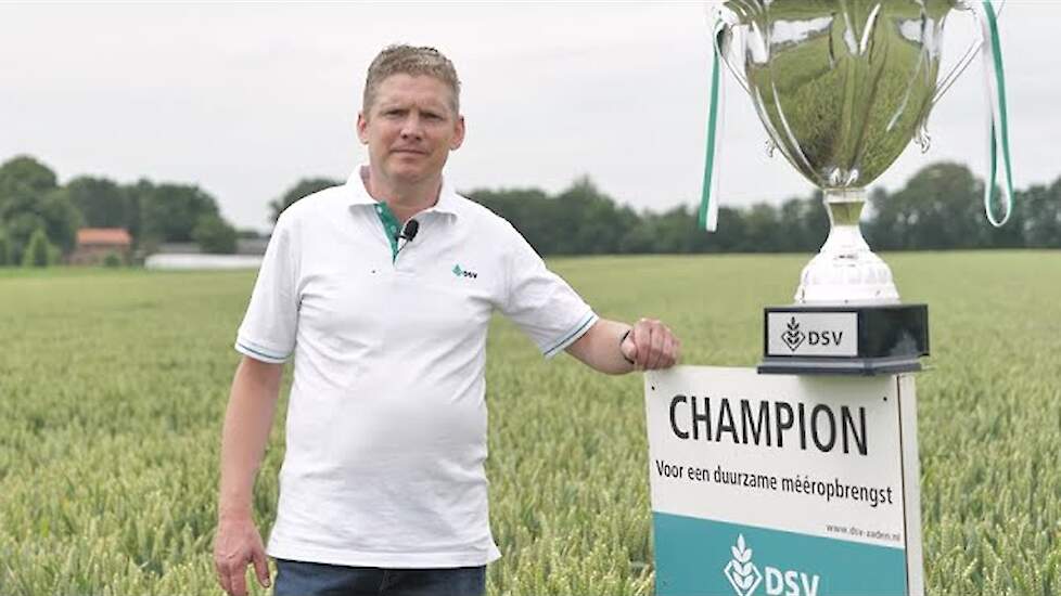 DSV zaden | Kampioen wintertarwe Champion