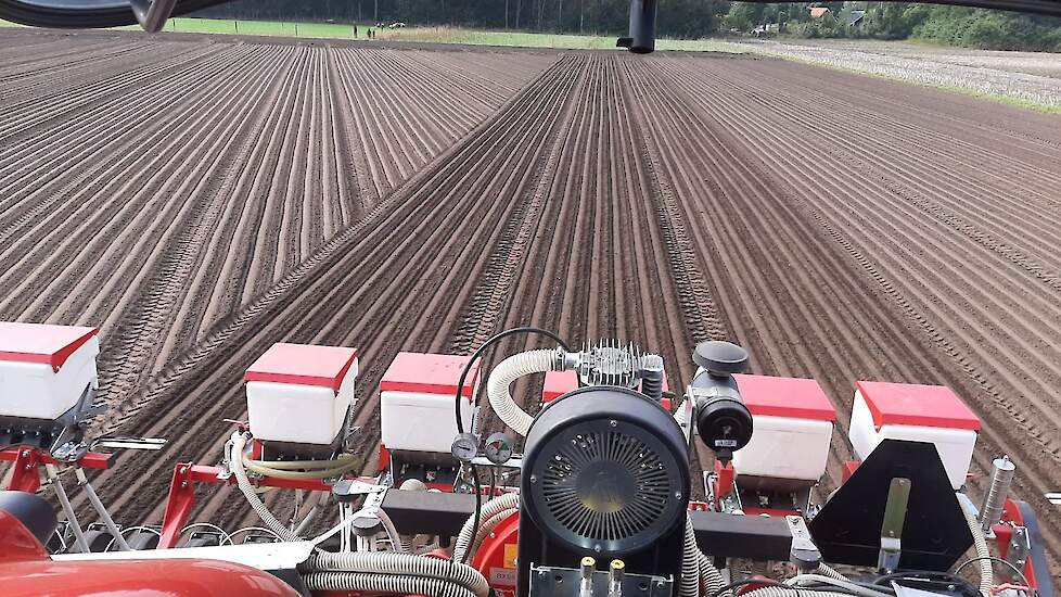 De zaaiomstandigheden zijn goed, dus waarom zouden we wachten, zegt Arjan Bos van zaadbedrijf Hazera. „De grond is geploegd, het is mooi vochtig. Aan het eind van de week verwachten ze weer regen. Deze uien gaan snel kiemen.”