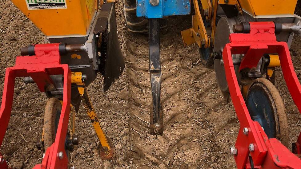 Om het water beter in de grond te laten infiltreren roept Kroonen de telers op om in bieten- en cichoreipercelen steeds de zaai-/spuitsporen los te trekken met bijvoorbeeld een schijf of een cultertand.
