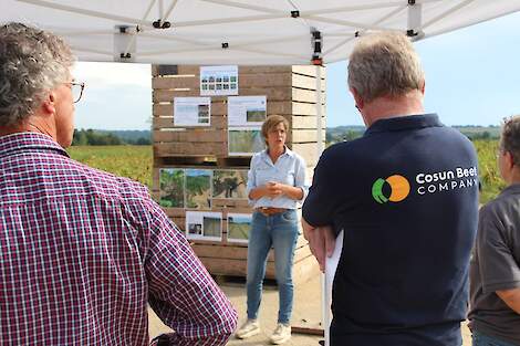 Tijdens de akkerbouwdag op Proefboerderij Wijnandsrade riep Brigitte Kroonen de telers op om te kijken wat in de praktijk mogelijk is om het regenwater zoveel mogelijk op de akkers te laten infiltreren.