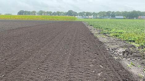Het perceel van de provincie Noord-Brabant waarop illegaal lelies werden geteeld.