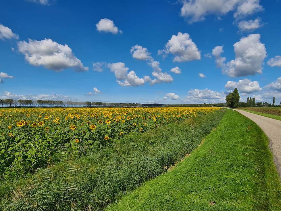 TerraLife N-Fixx 50 in Oud-Vossemeer, Zeeland