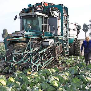 Na een uur kan de machine weer aan het werk. Als het lekker loopt komt er 20 ton kool per uur van het land.