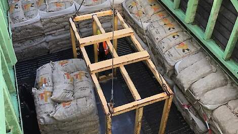 Een schip laden met pootgoed.