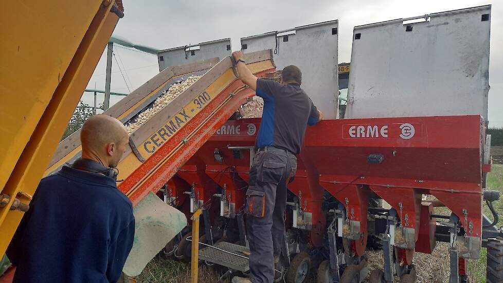 De plant- en rooimachine worden inclusief bemensing geleverd door Gourmet.  Ook de trekker, van loonbedrijf Sturm uit de Wieringermeer, wordt door Gourmet geleverd. Het is pneumatische plantmachine; hij zuigt de knoflooktenen aan aan de schijven. „Hij maa