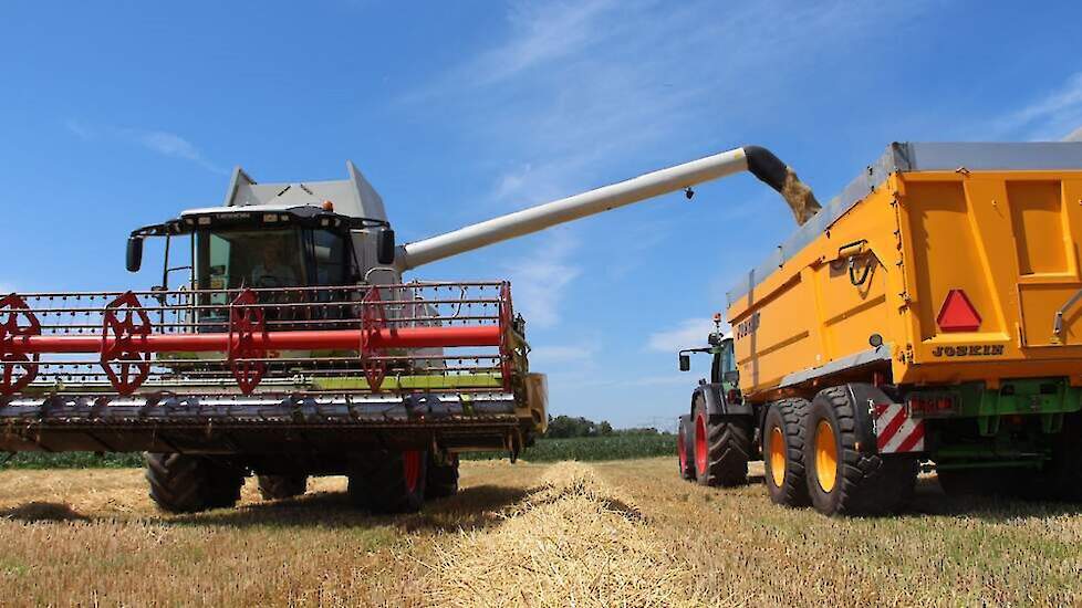 Graanoogst in volle gang