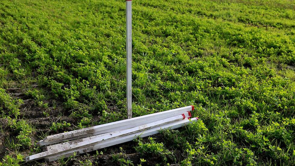 Column: Karin Bergmans-Elshof: Landjepik