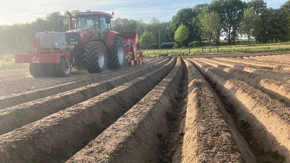 Opbrengstverhogende verruigde aardappelruggen in een proef bij akkerbouwer Bert Merx in Bocholtz