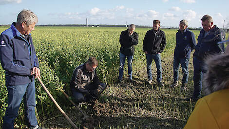 Bij de demo in Biddinghuizen kwamen boeren uit de regio kijken naar de mengsels van Ethiopische mosterd, facelia, Alexandrijnse klaver en wikke.