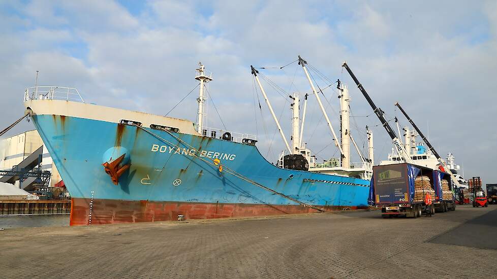 Een schip is ongeveer vijf dagen onderweg naar Algerije. De aardappelen worden gekoeld vervoerd.