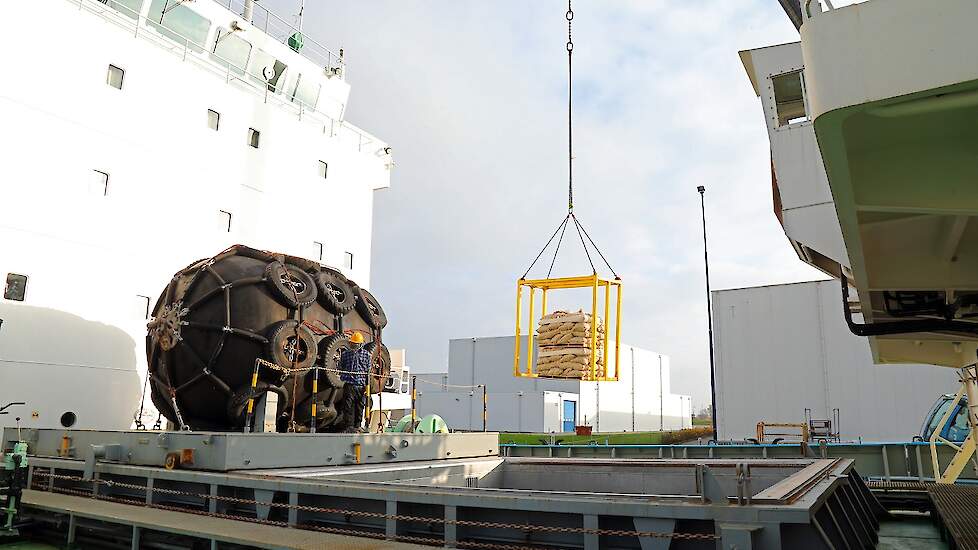 Agrico laadt schepen voor de export in Harlingen en in Beverwijk. De voorkeur ligt bij Harlingen, zegt Pot. „Het pootgoedgebied ligt in deze regio, dat scheelt een hoop in transportkosten.” Harlingen is echter beperkt qua diepgang. „Alleen schepen tot 4.0
