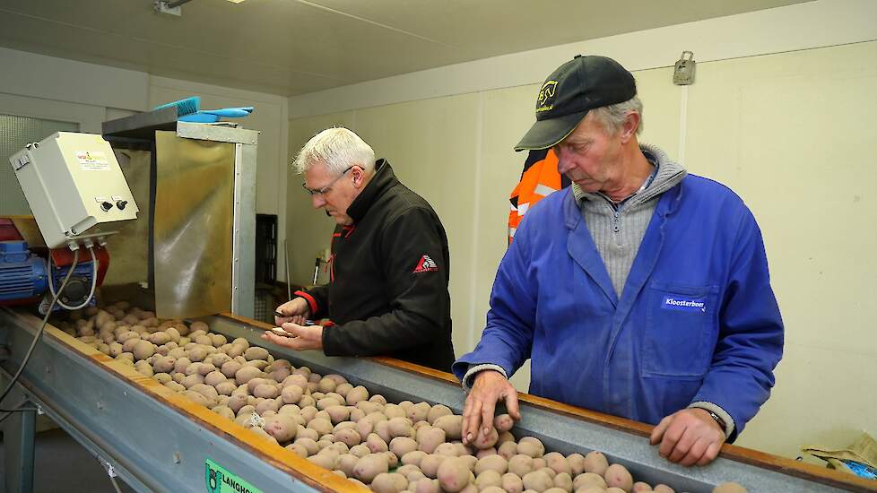 De zakken worden in de keurkeet op de leesband geleegd en vervolgens gecontroleerd op de mogelijke aanwezigheid van onder meer rotte knollen, rhizoctonia, (zilver-)schurft en beschadigingen. „Elk land heeft zijn eigen normen”, zegt Martin Pot (zwarte jas)