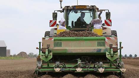 Poten van aardappelen ras Fontane