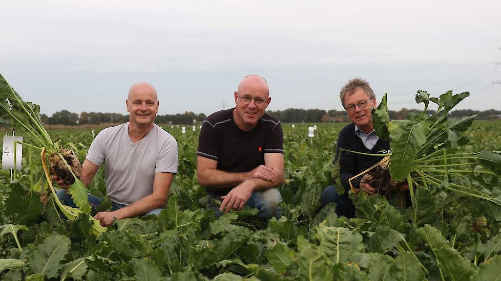 Gerjan Michel, Bart Michel en Rolf Scholtens