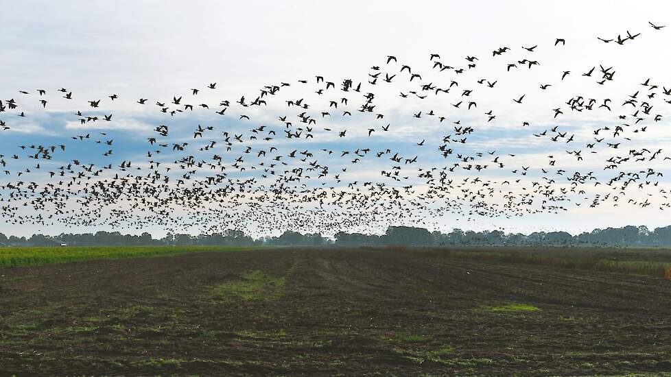 „Het teeltseizoen 2023 nadert met rasse schreden en de Vlaamse boeren en tuinders dreigen terecht te komen in een onzekerheid die hun concurrentievermogen ernstig aantast.”